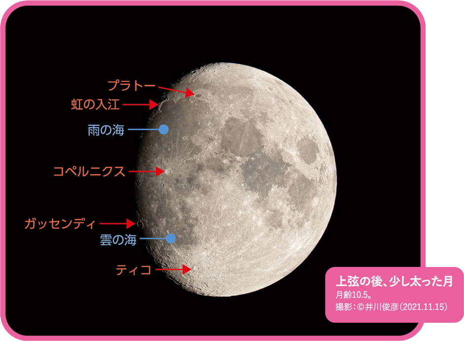 画像:上弦の後