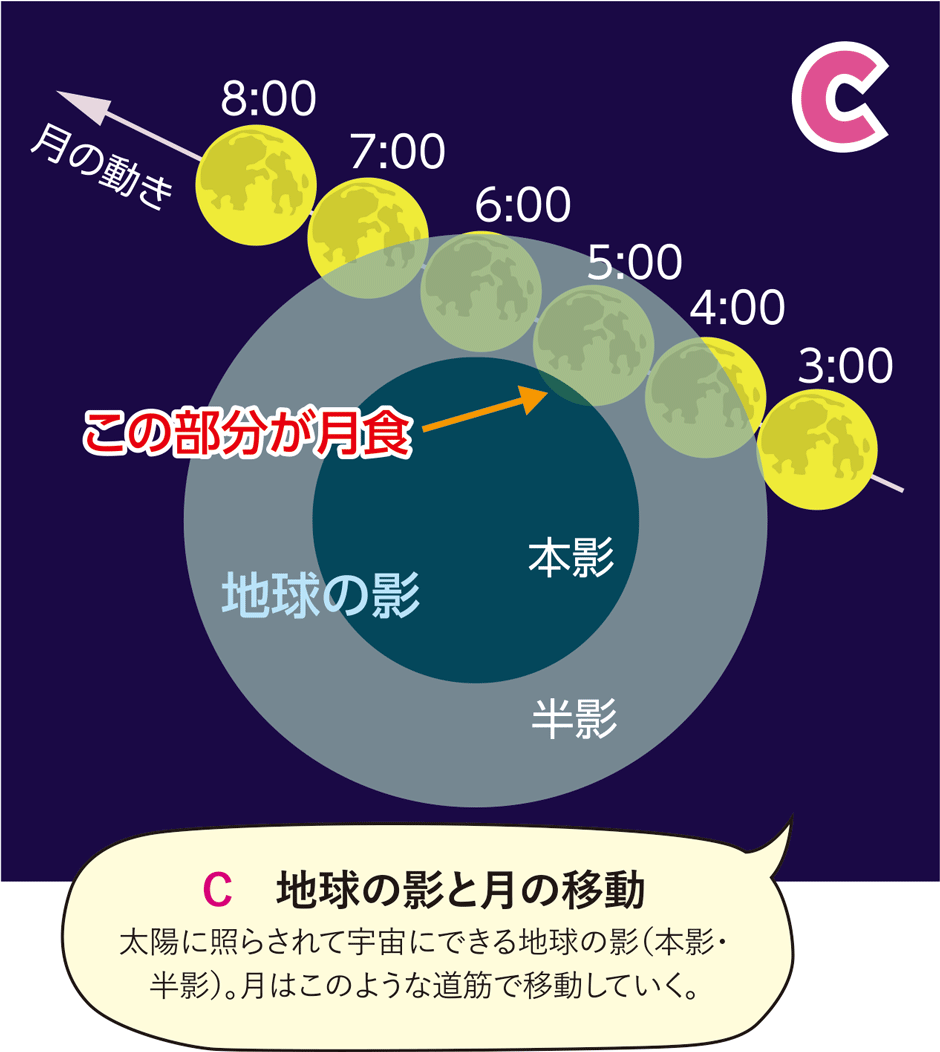イラストC