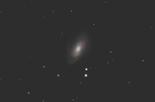 M81